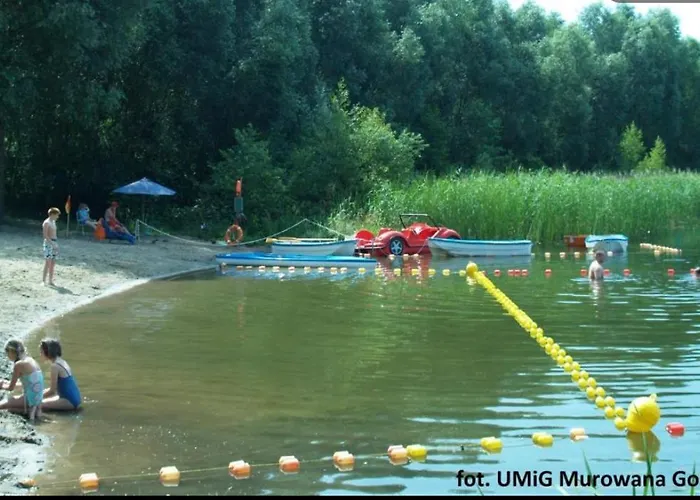 Nad Jeziorem W Puszczy Zielonka アパート Kamińsko